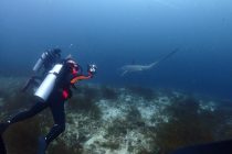 マラパスクア＆マクタン🎵