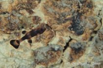 マクタンに帰ってきた🎵