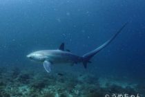 マラパスクアへ来れた〜😭✨✨