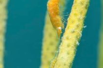 穏やかな時間😌