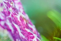 寒さに負けず！！！