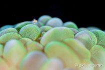 お客様ステキPHOTO📸