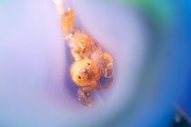 ラッキーデイ🎨