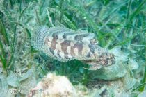 寒さに負けず！