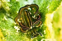 海の中は癒し✨✨