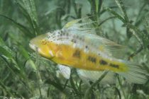 ステキフォト✨✨