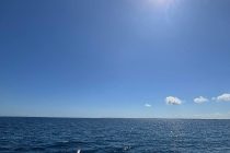 久々に北へ遠征したよ🎵